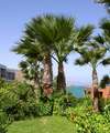 Arina Sand Hotel Beach Club 